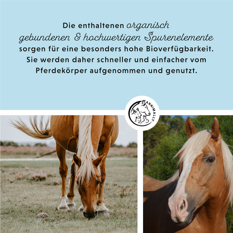 Minerale voeding biologisch
