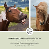 Eczeem Crème Plus
