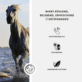 Horse ointment