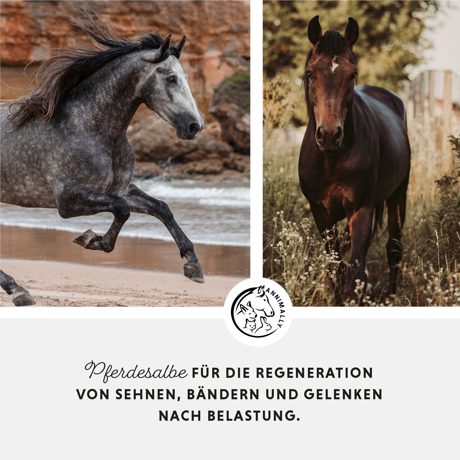 paardenzalf