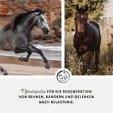 Horse ointment