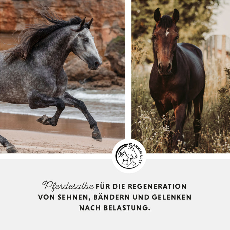 Horse ointment