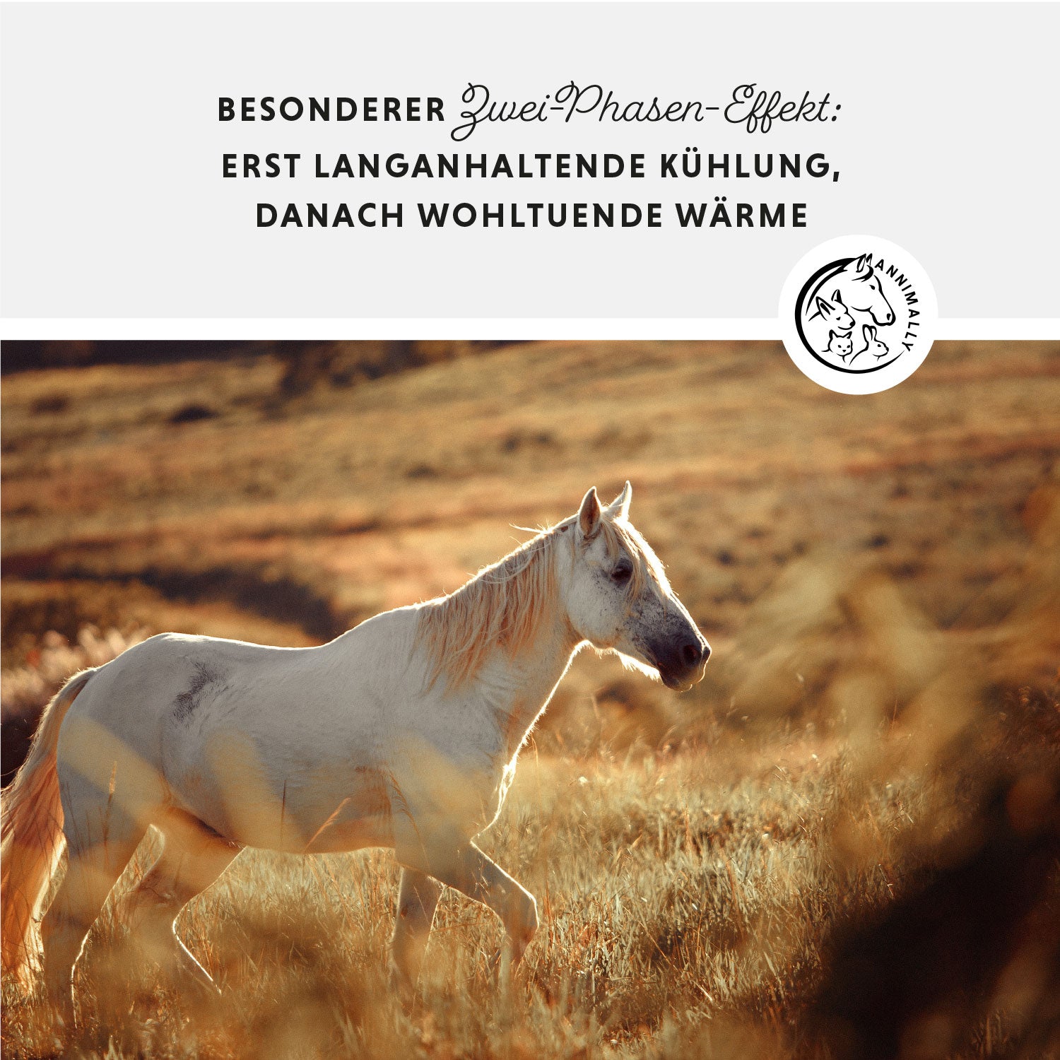 paardenzalf