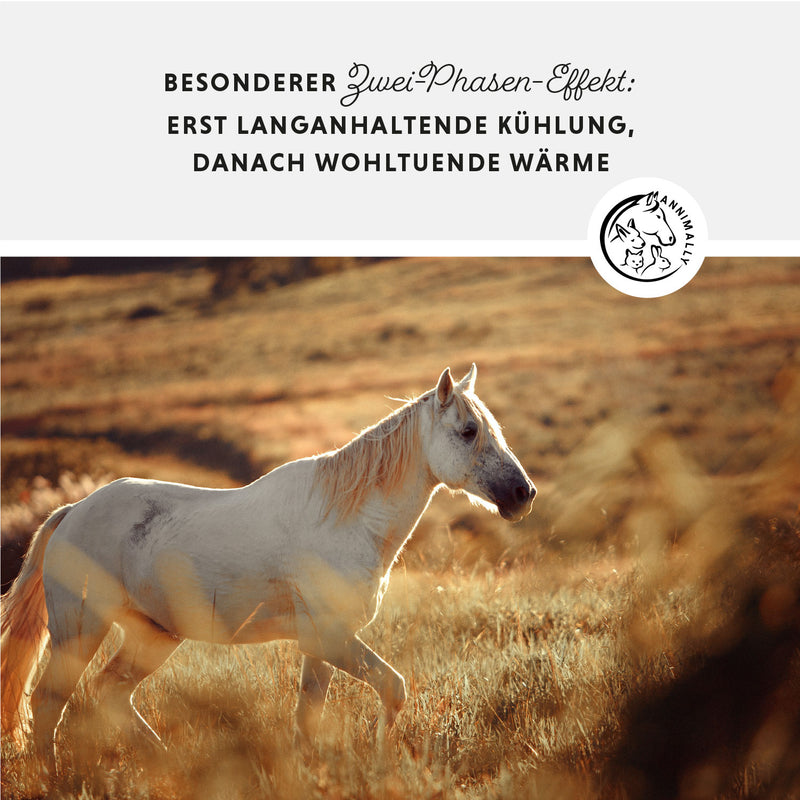 Horse ointment