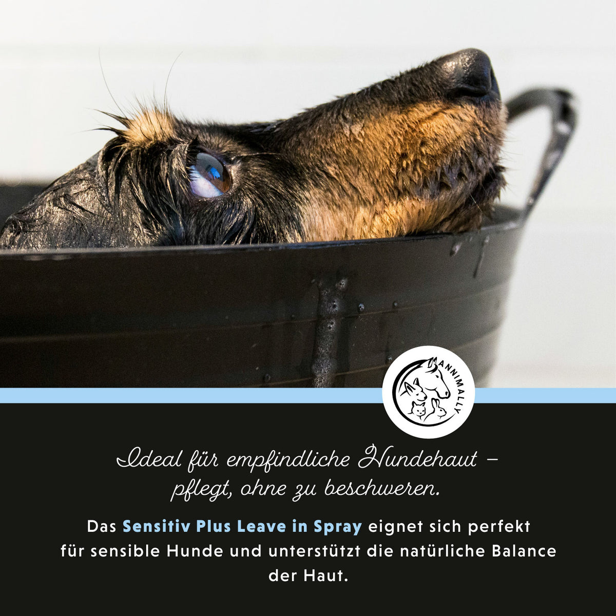 Sensitiv Plus Leave-In Spray für Hunde – natürliche Pflege für empfindliche Haut | Annimally