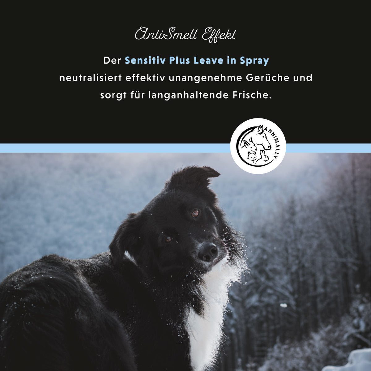 Tierpflege für Hunde: Sensitiv Plus Leave-In Spray für empfindliche Haut