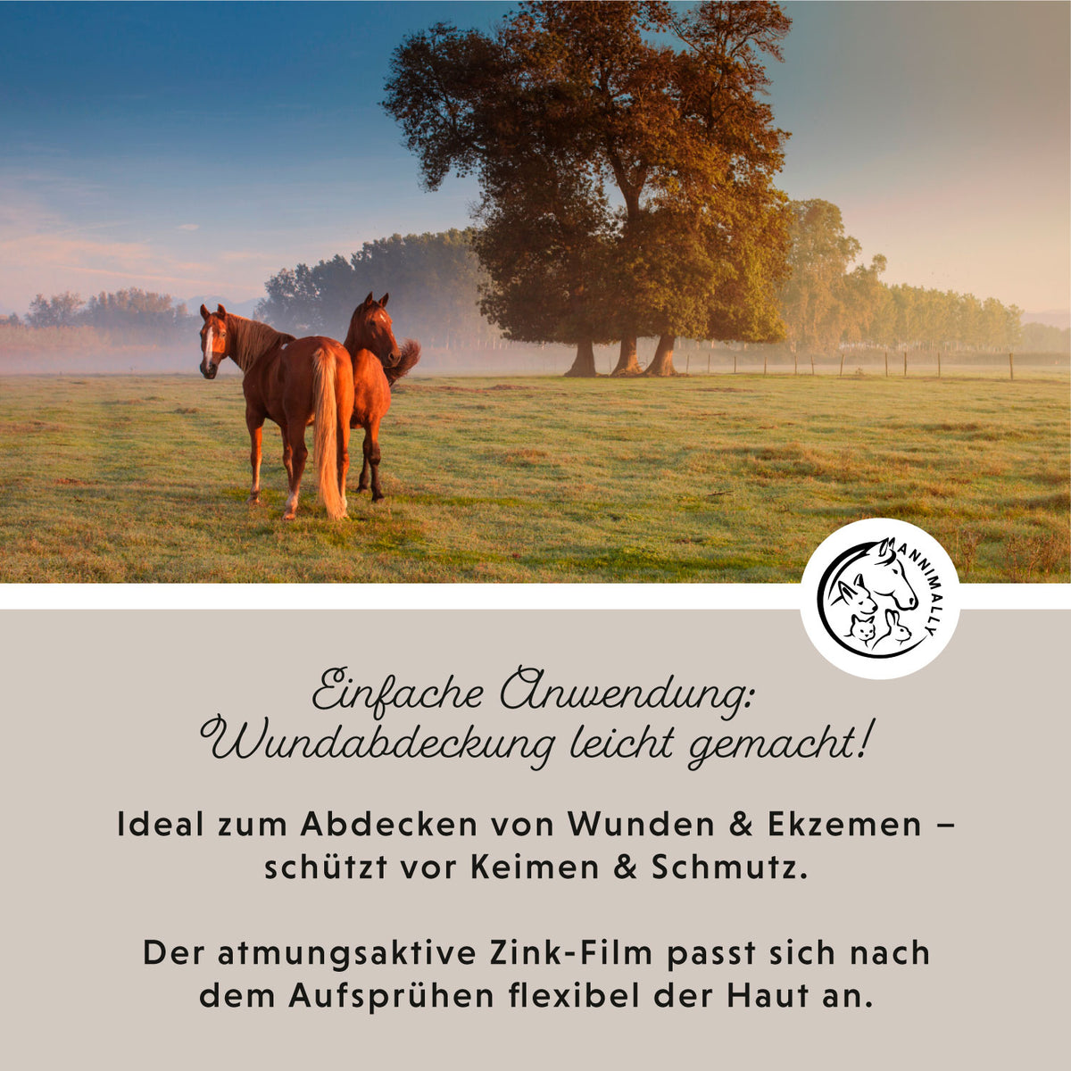 Tierpflege für Pferde: Zinkspray Plus für Haut & Hufe