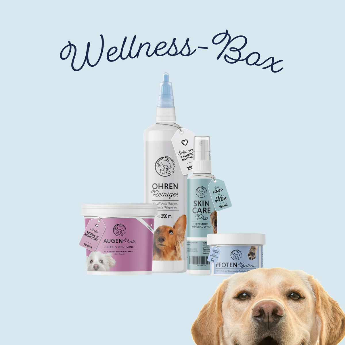 Wellness-Box für Hunde, Katzen & Pferde für Augen, Ohren & Fell – Pflegeset von Annimally