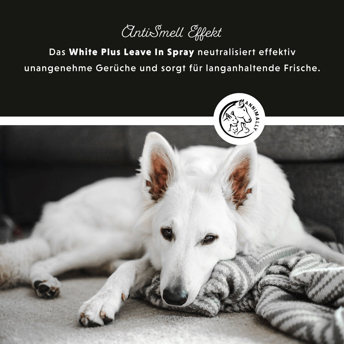 White Plus Leave-In Spray für weißes & helles Fell – Pflegeprodukt für Hunde