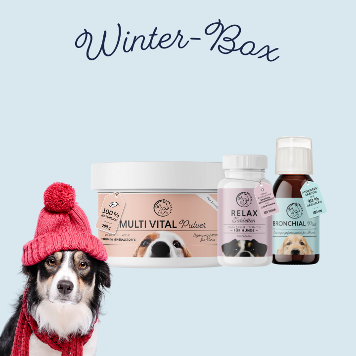 Winter-Box für Hunde für die kalte Jahreszeit – Set mit Nahrungsergänzungsmitteln von Annimally