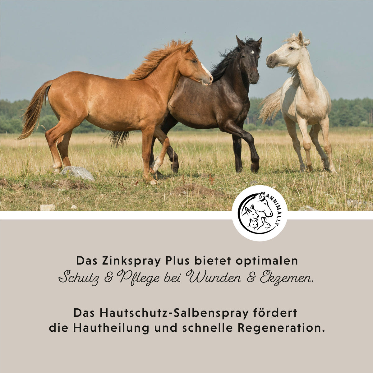 Zinkspray Plus für Haut & Hufe – Tierpflege für Pferde