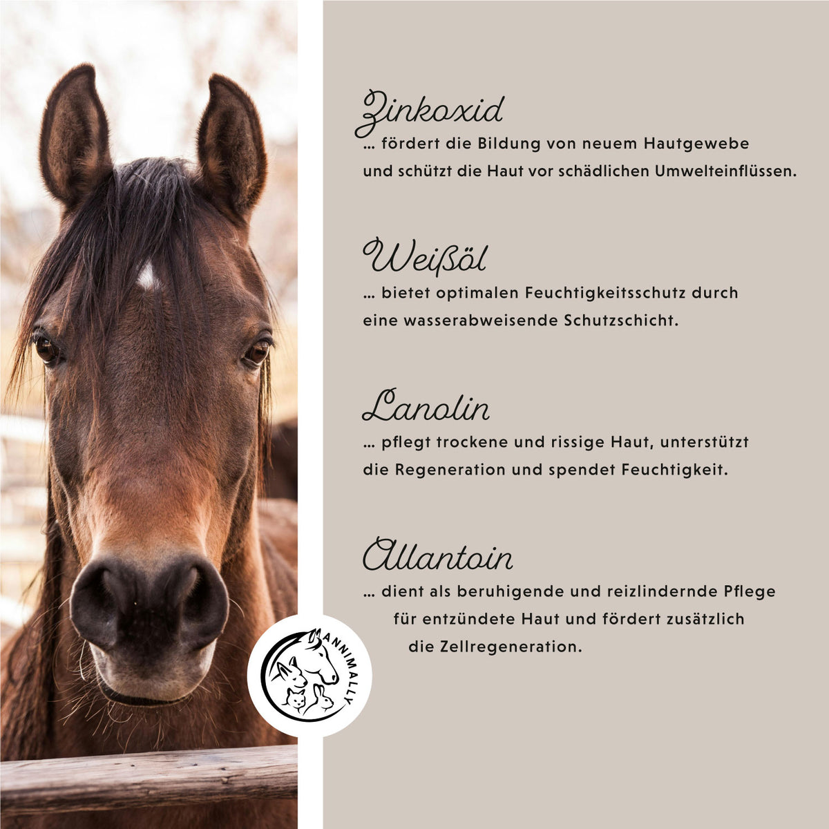 Zinkspray Plus für Pferde – Tierpflege für Haut & Hufe | Annimally