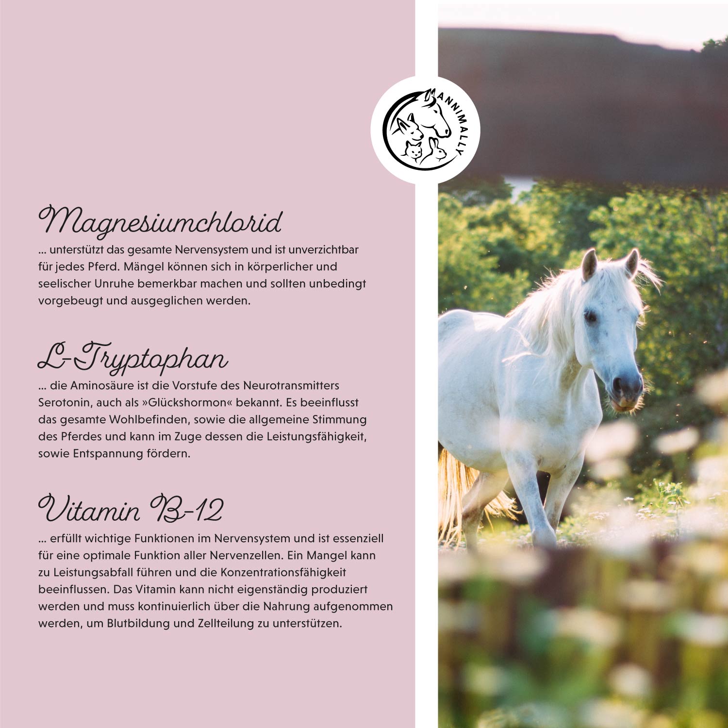Ontspan Vloeistof