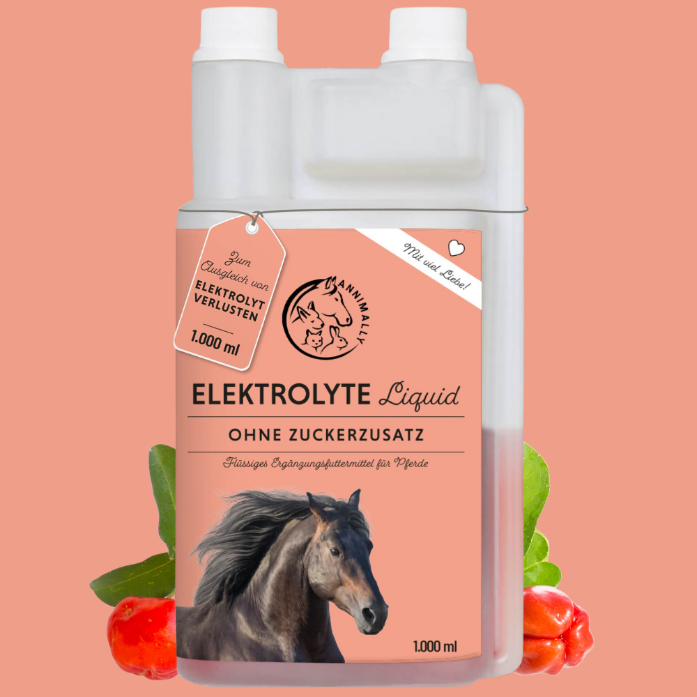 elektrolyt vloeistof