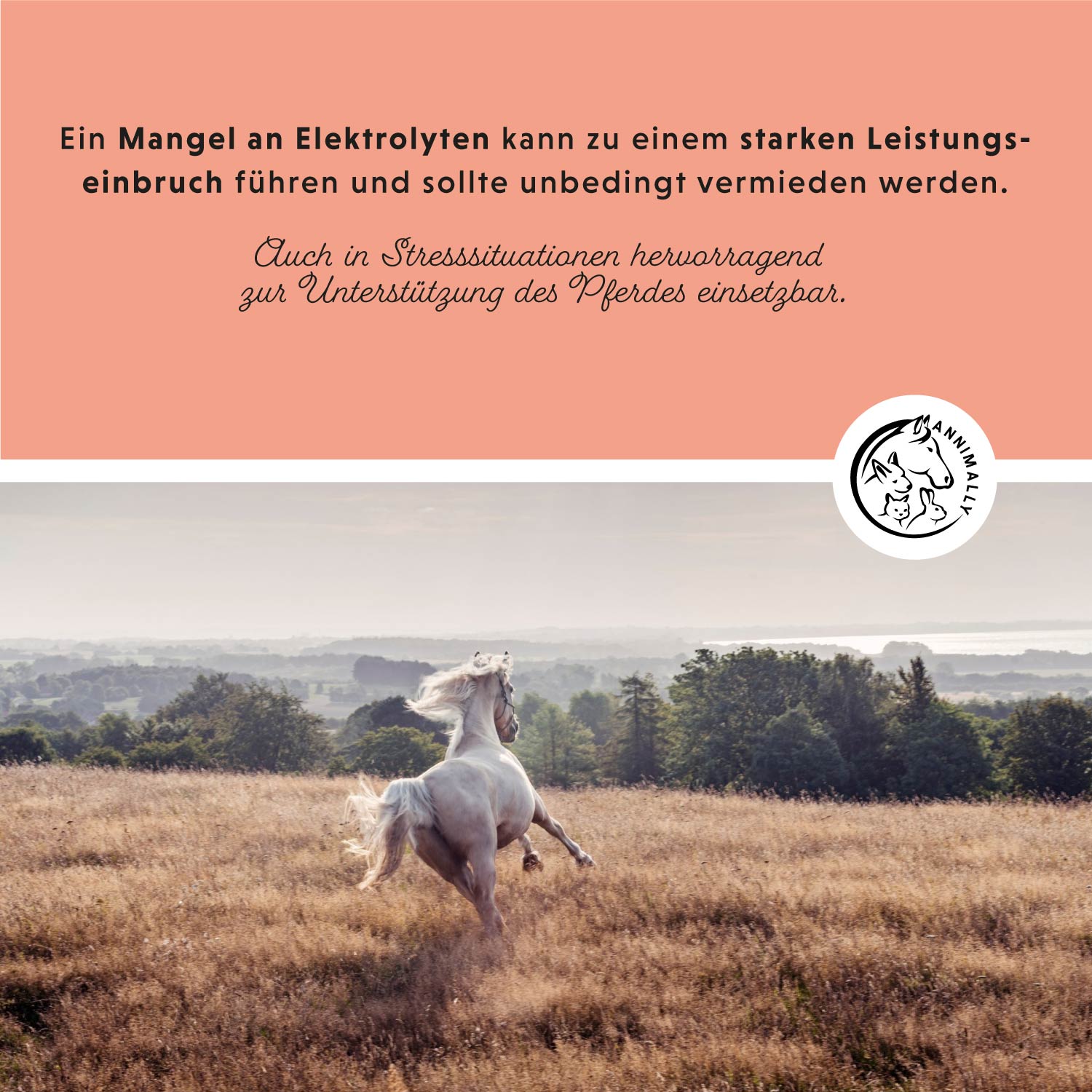 elektrolyt vloeistof