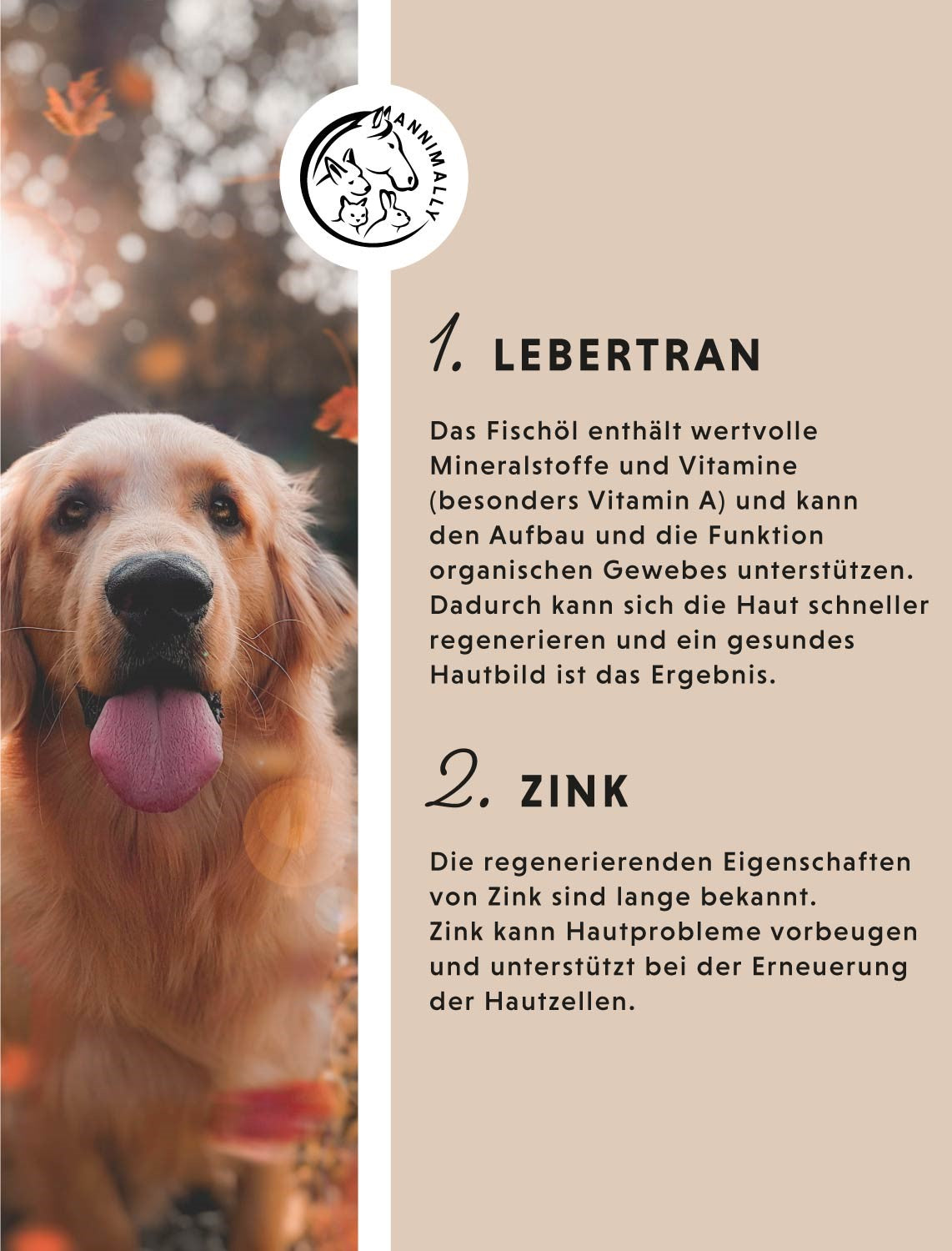 Aua-Balsam Plus für Hunde – natürliche Pflege zur Wundpflege | Annimally