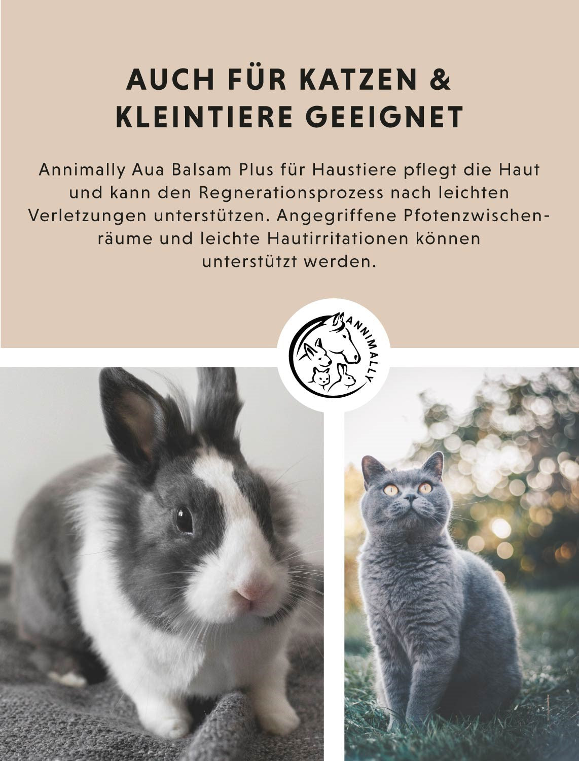 Aua-Balsam Plus für Hunde – Tierpflege zur Wundpflege | Annimally