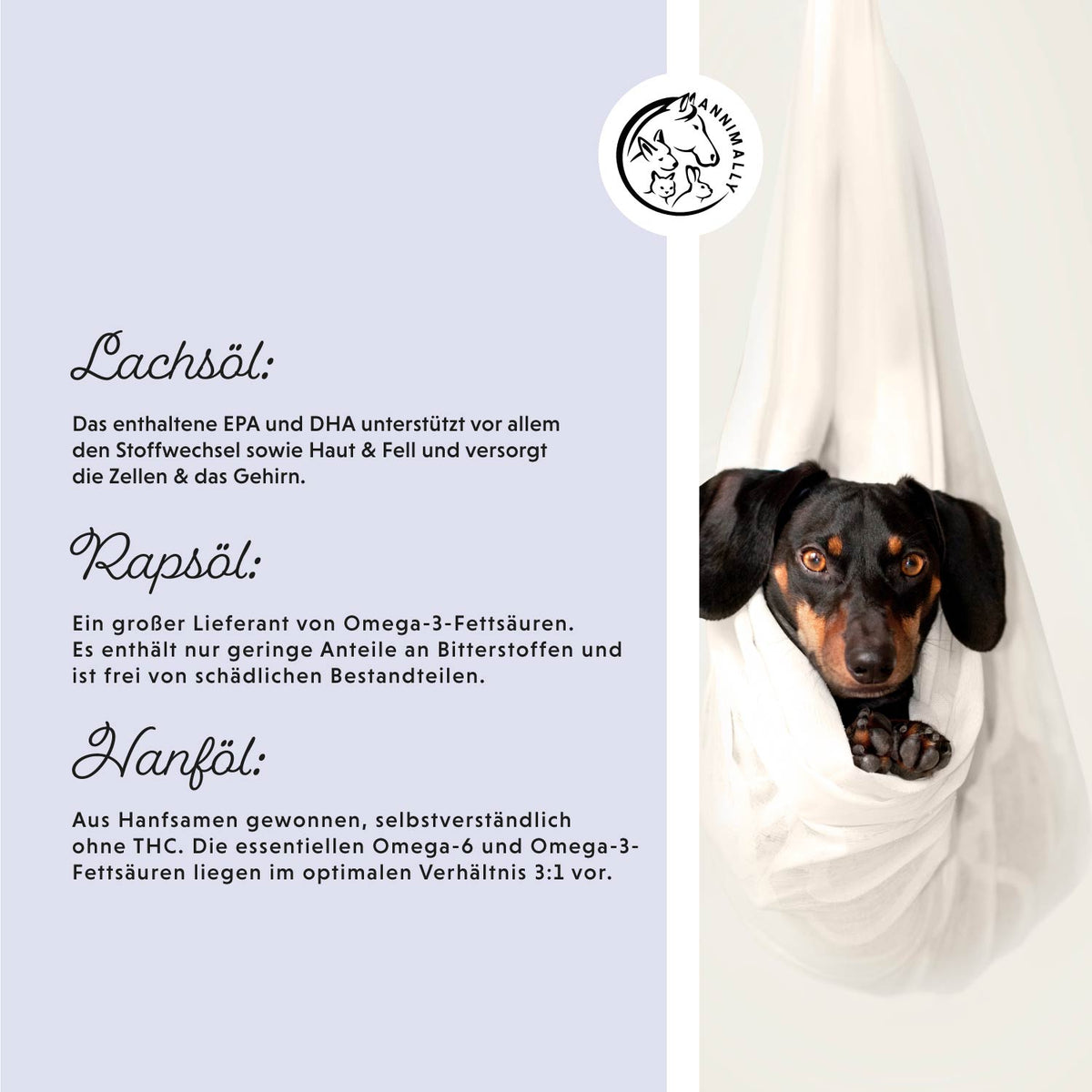 Barf-Box – Set mit Nahrungsergänzungsmitteln für Hunde & Katzen