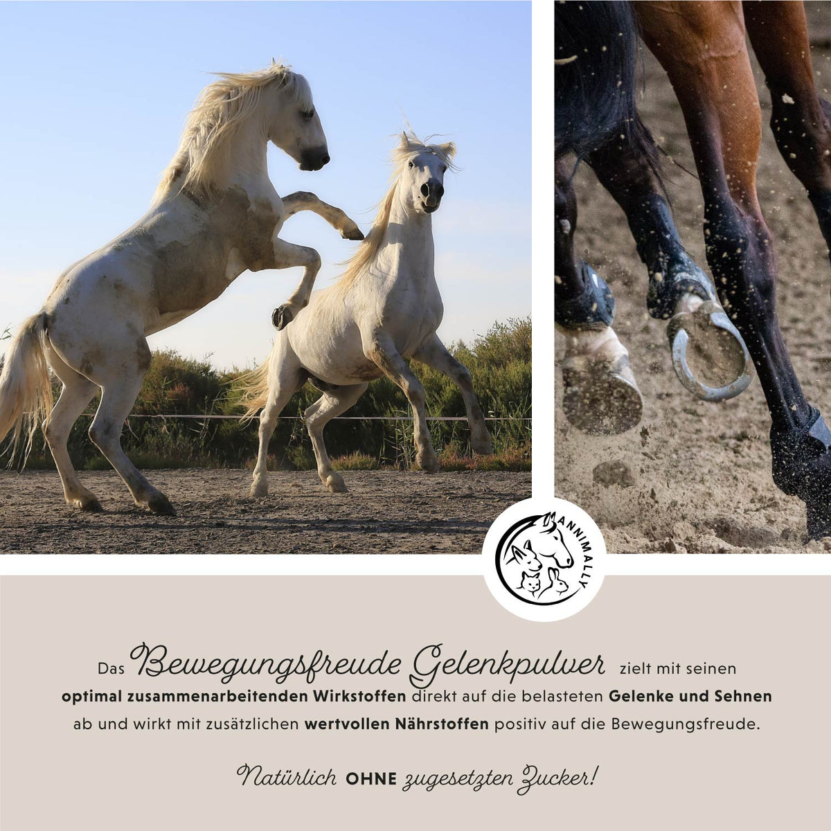 Bewegungsfreude von Annimally für Gelenke & Bewegung – Futtertopping für Pferde