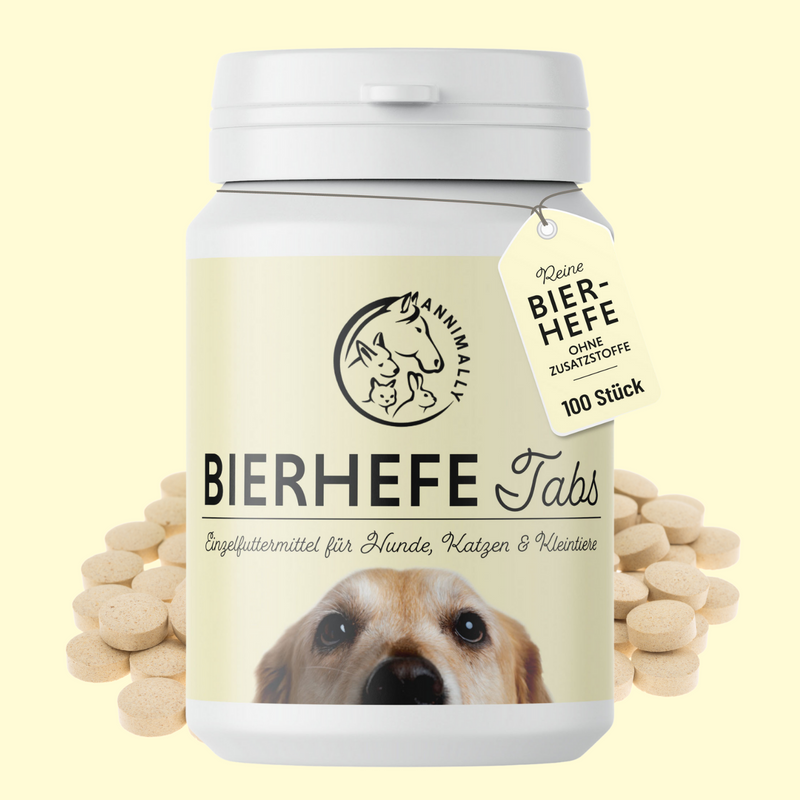 biergist tabletten