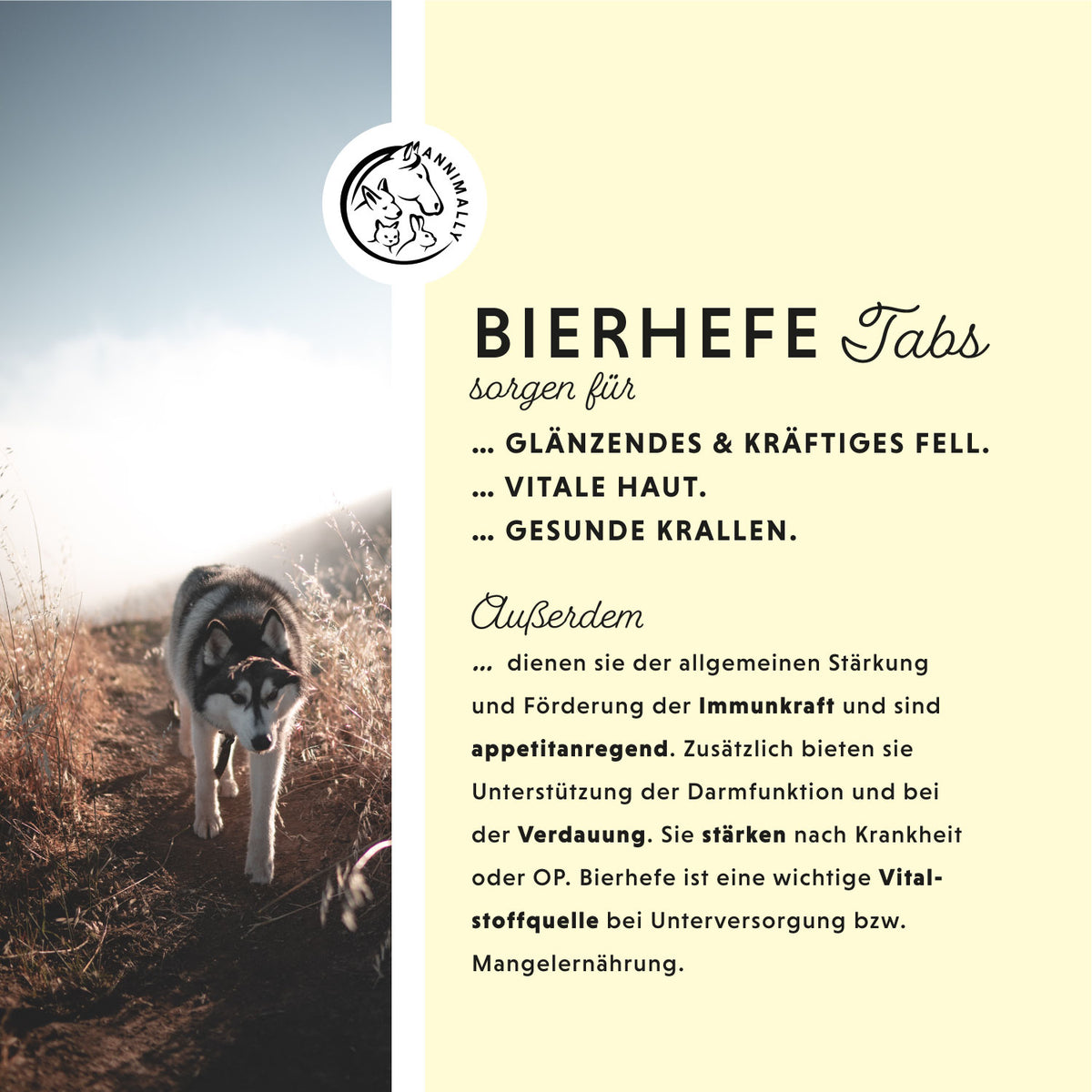 Bierhefe Tabletten für Hunde, Katzen & Kleintiere – Futterzusatz für gesunde Haut & glänzendes Fell | Annimally
