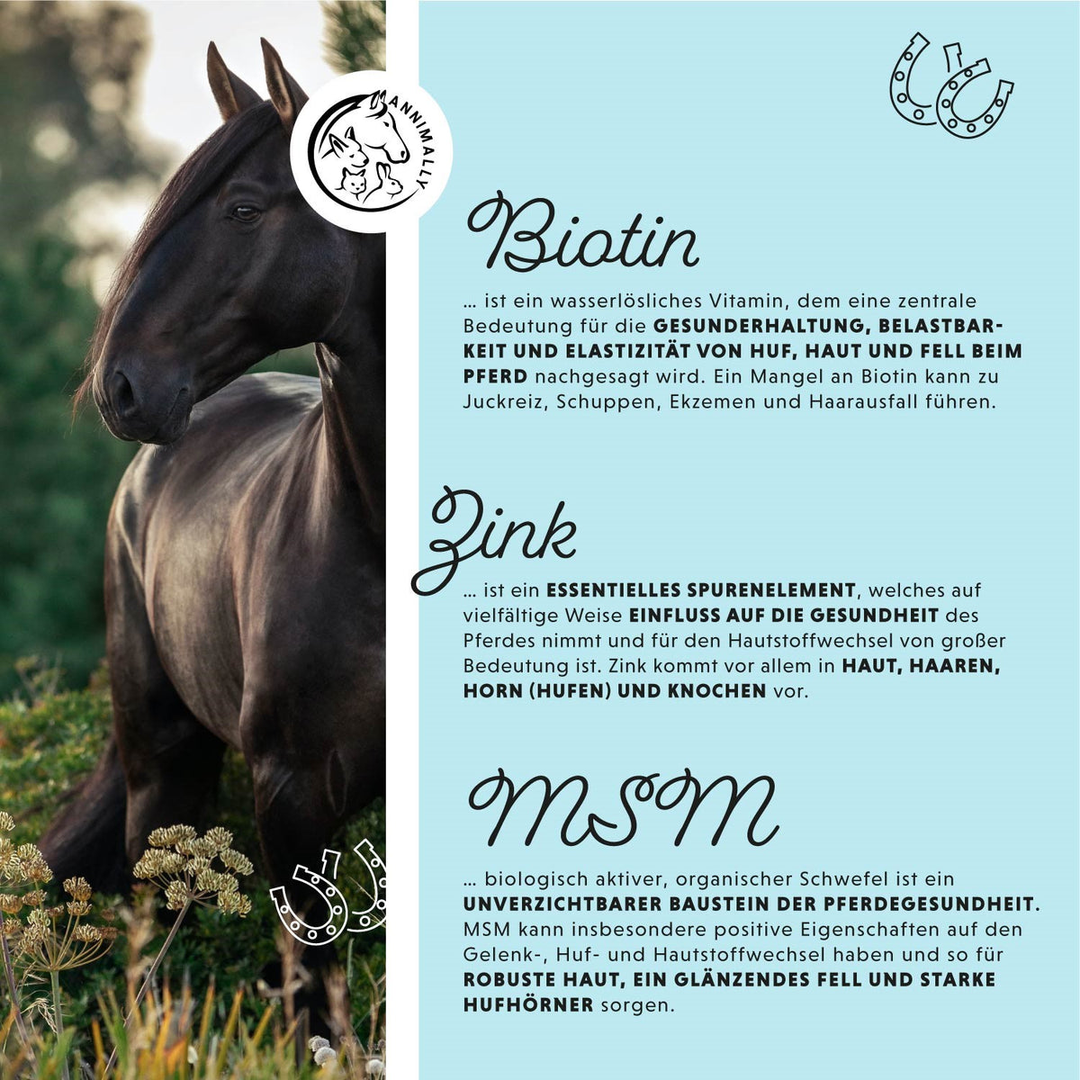 Biotin Liquid für Pferde – Futterergänzung für starke Hufe & glänzendes Fell | Annimally