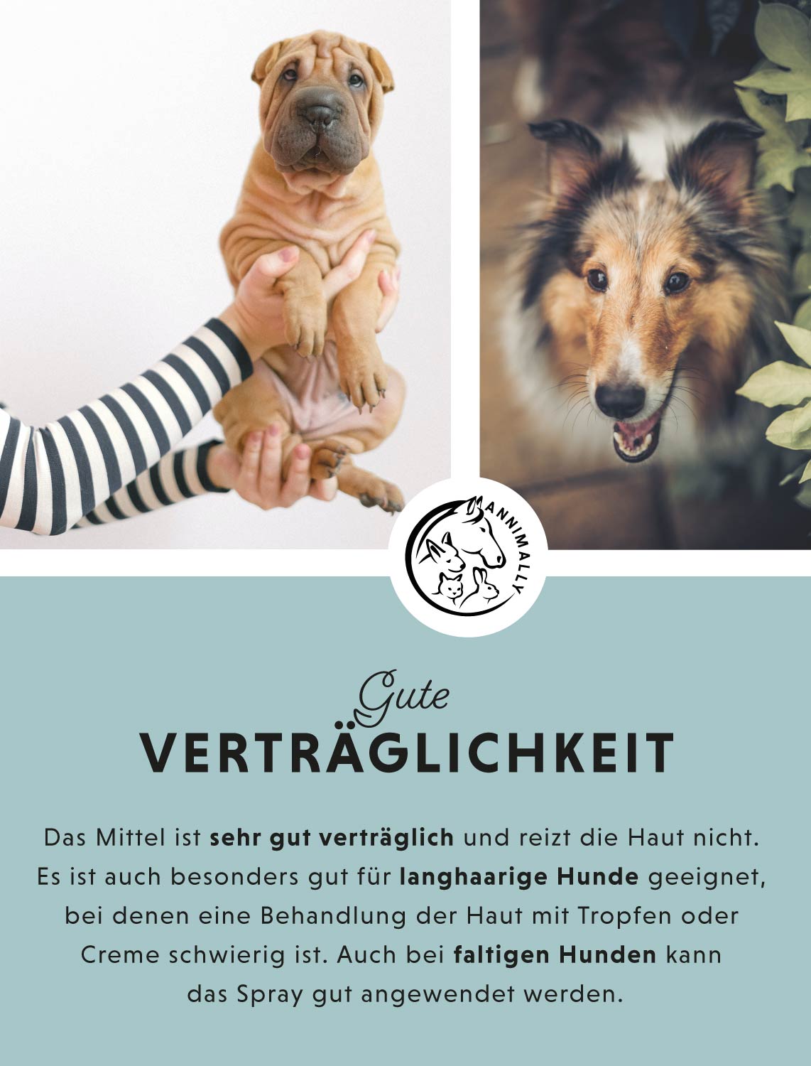 Care-Box für Hunde, Katzen & Pferde für Ohren, Augen & Fell – Pflegeset von Annimally – Ansicht 2