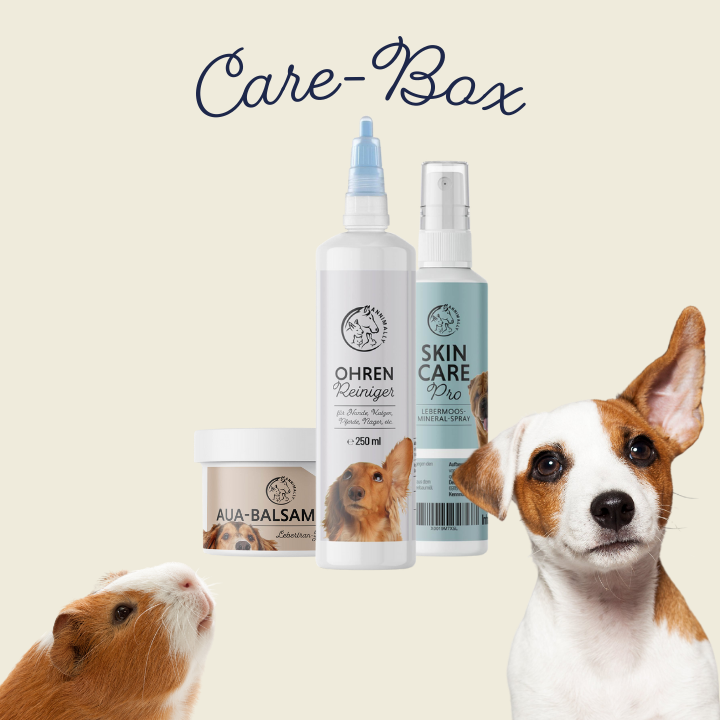 Care-Box für Hunde, Katzen & Pferde für Ohren, Augen & Fell – Pflegeset von Annimally