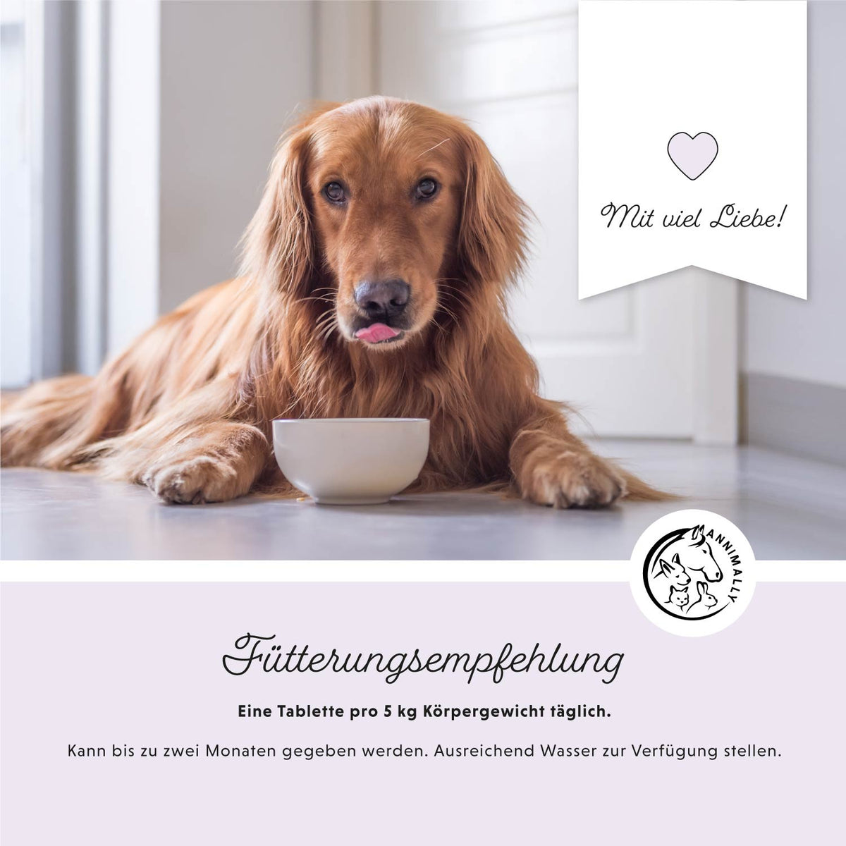 Colon Vital Tabletten von Annimally für eine gesunde Darmflora – Nahrungsergänzungsmittel für Hunde