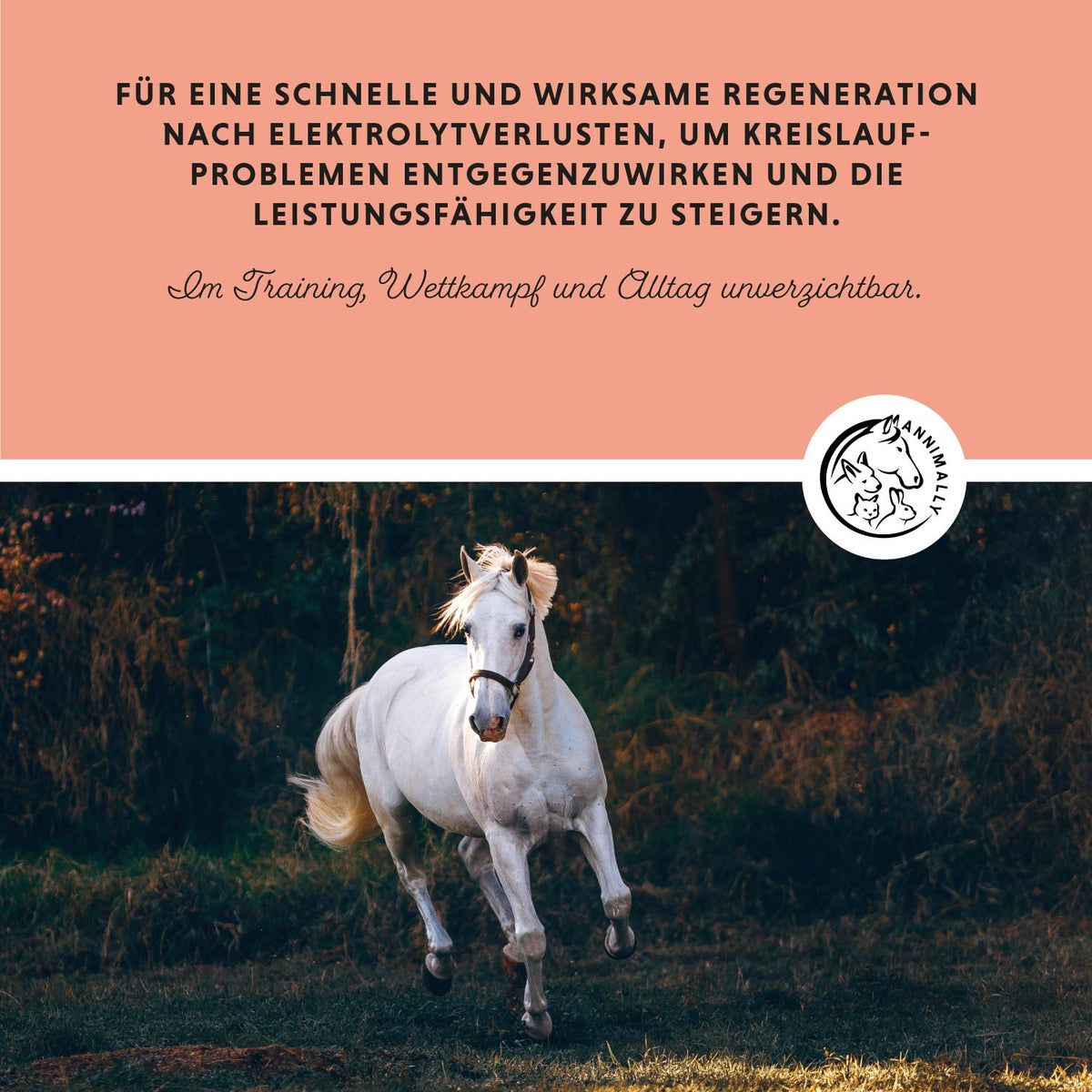 Elektrolyte Liquid für den Mineralhaushalt – Futterzusatz für Pferde – Fütterung