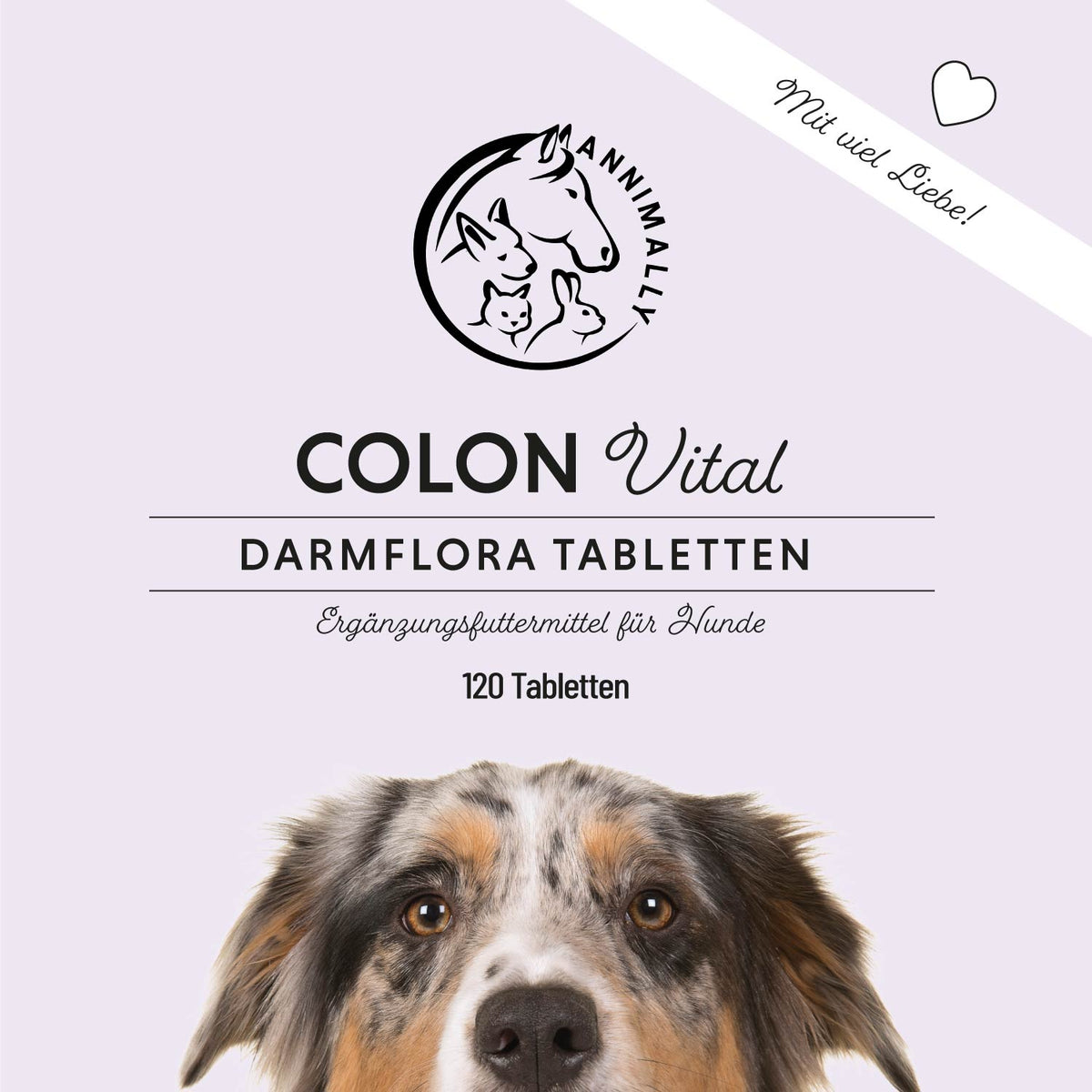 Futterergänzung für Hunde: Colon Vital Tabletten für eine gesunde Darmflora