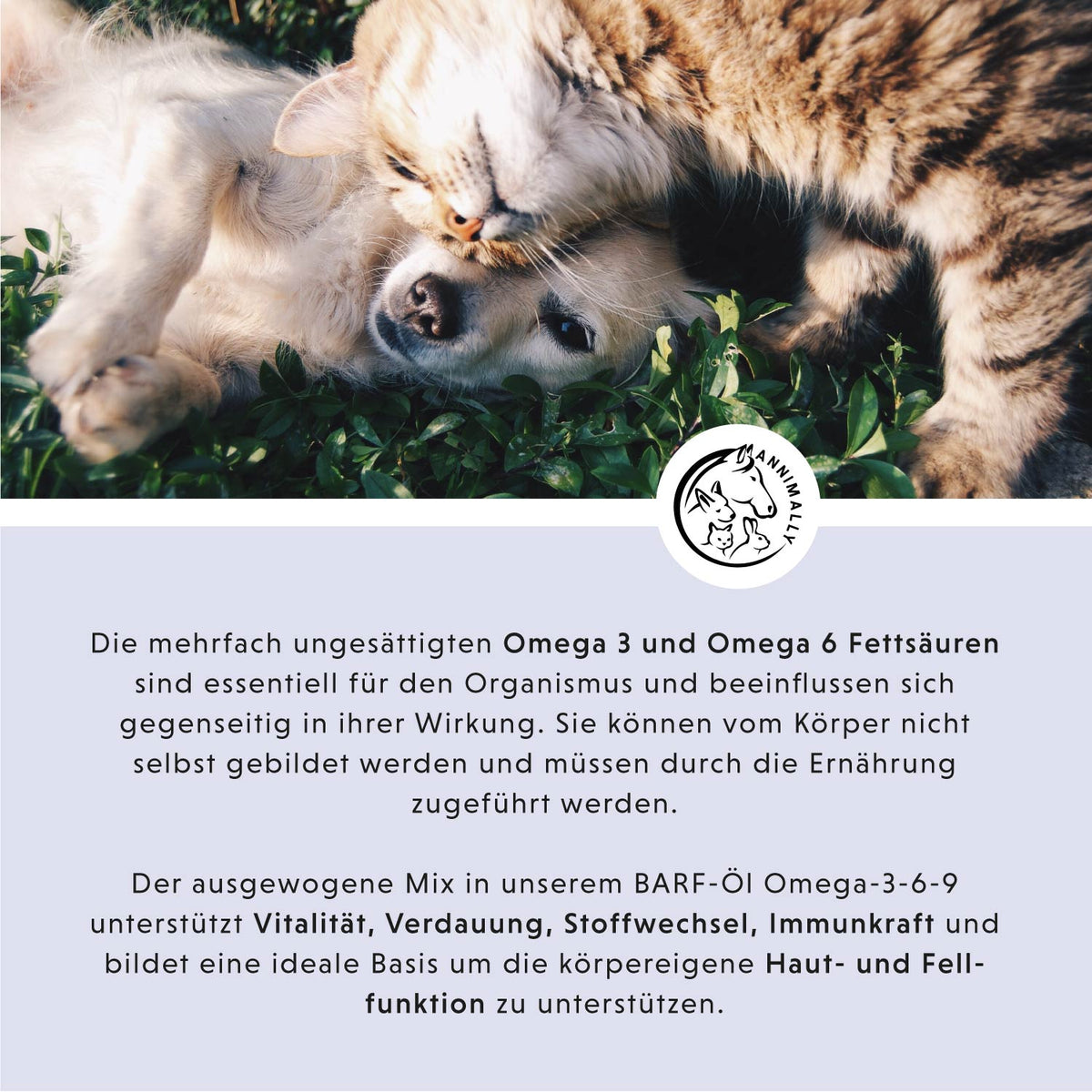 Futterzusatz für Hunde & Katzen: Barf-Öl mit Omega-3-Fettsäuren