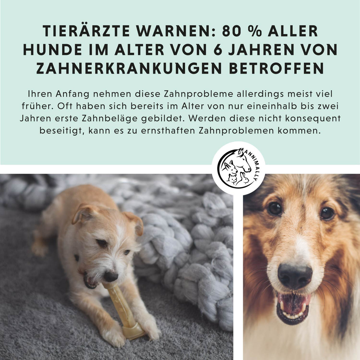 Futterzusatz für Hunde: Oral Vital für gesunde Zähne & frischen Atem