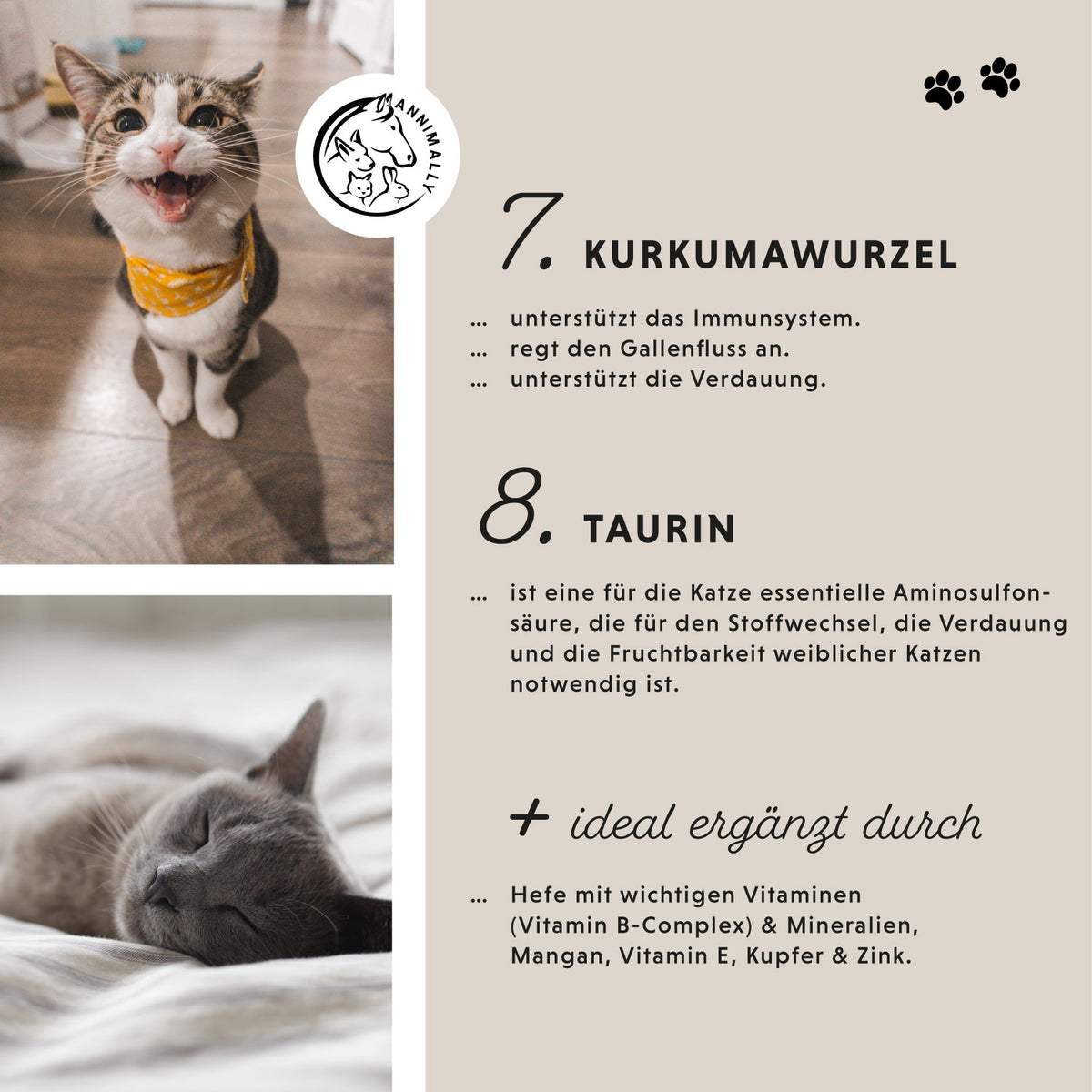 Futterzusatz für Katzen: Gelenk Komplex