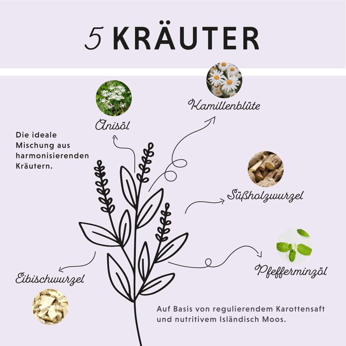 Futterzusatz für Pferde: Magen-Darm Liquid