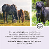 gastro-intestinale vloeistof