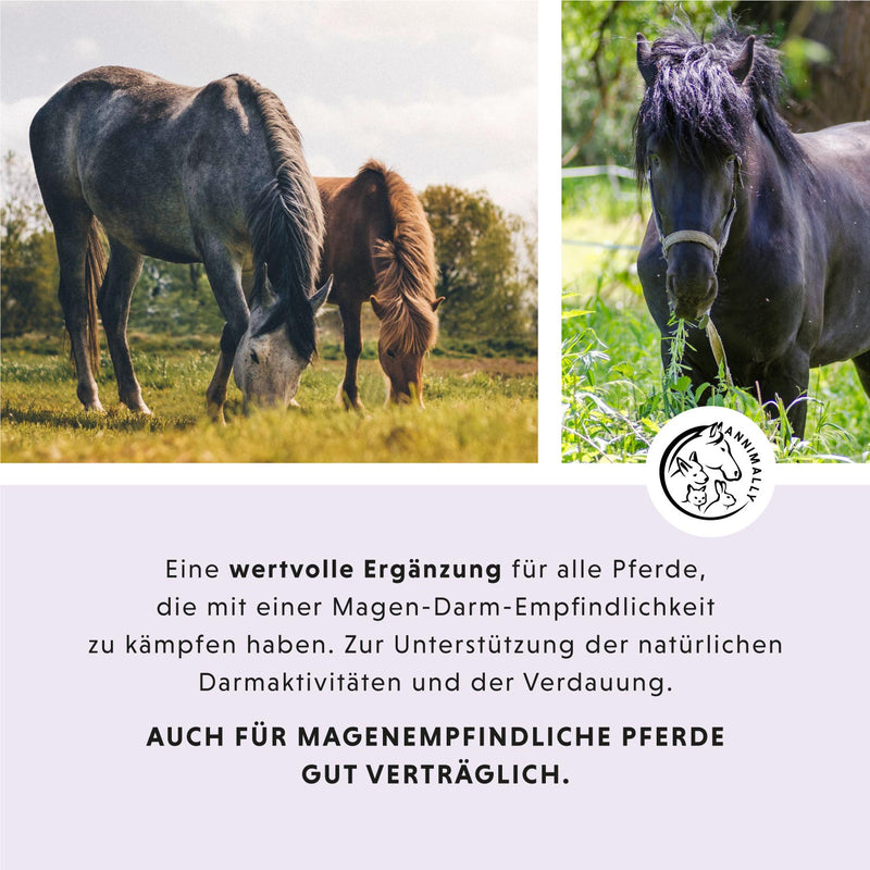 gastro-intestinale vloeistof