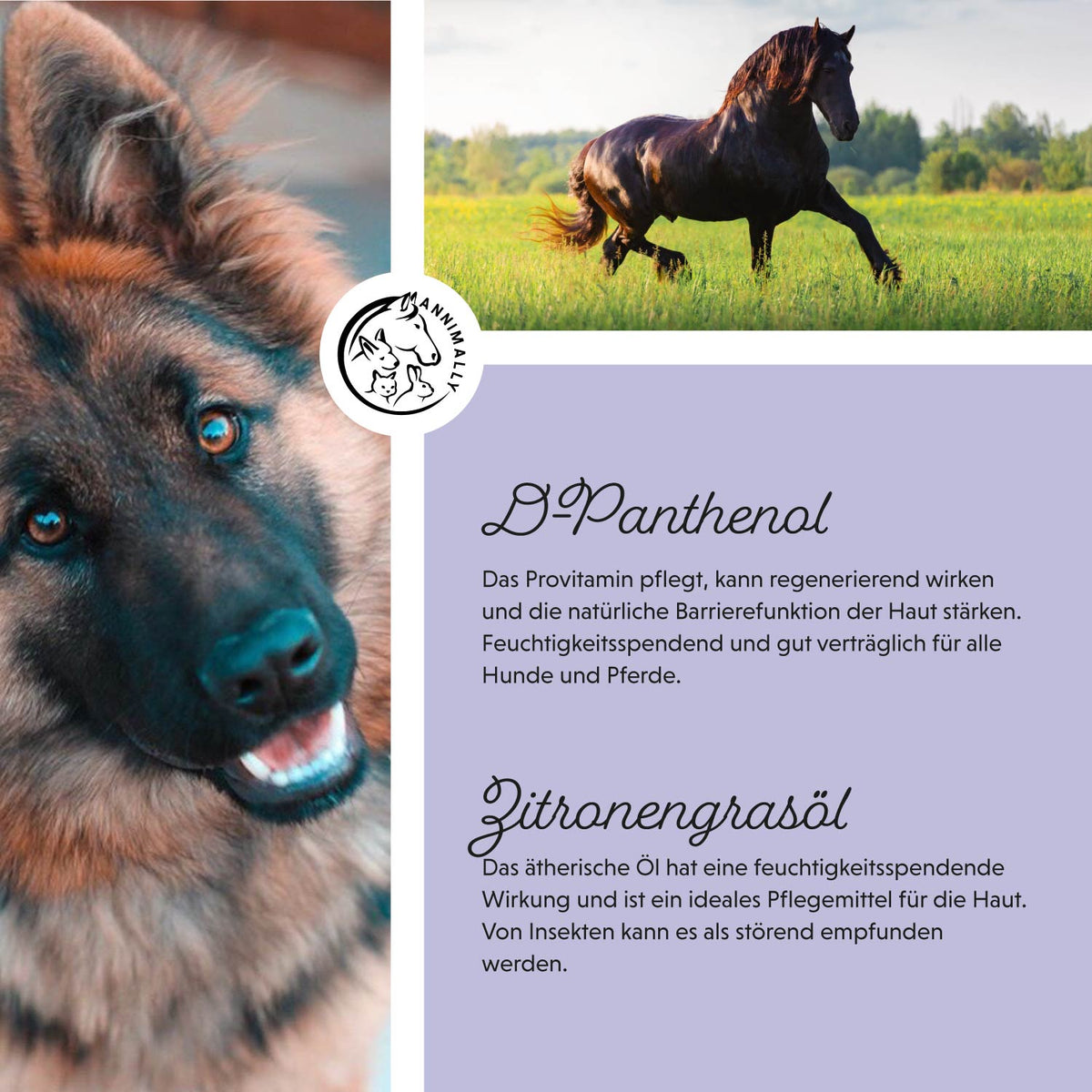 Hair Care Pro für Hunde & Pferde – Tierpflege für Fell & Mähne | Annimally