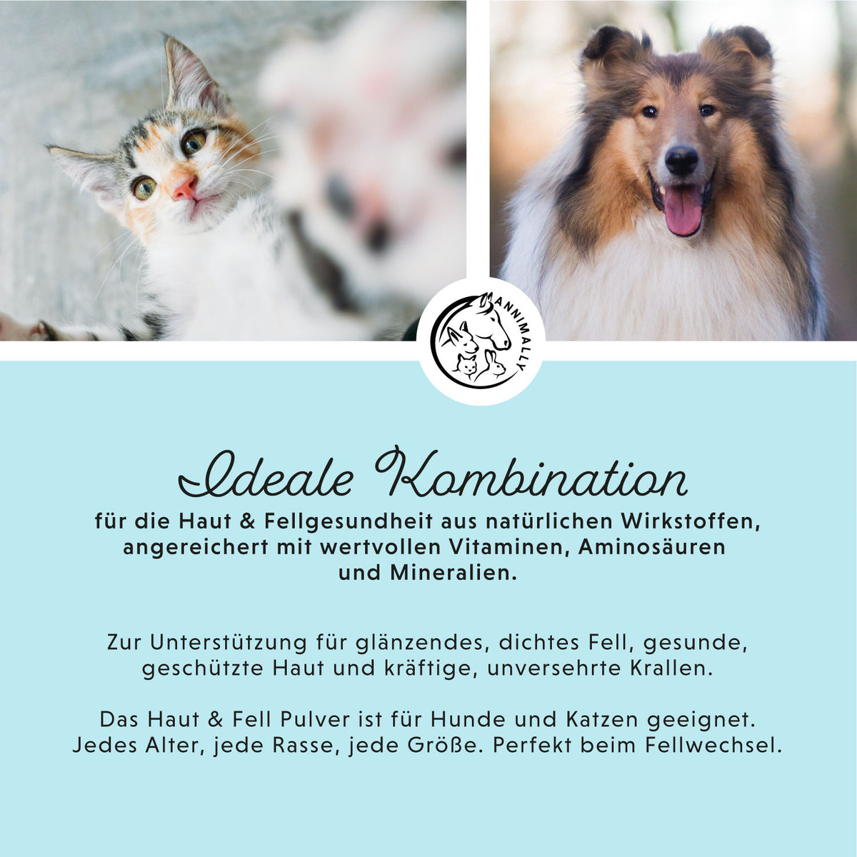 Haut & Fell Pulver – Futterzusatz für Hunde & Katzen