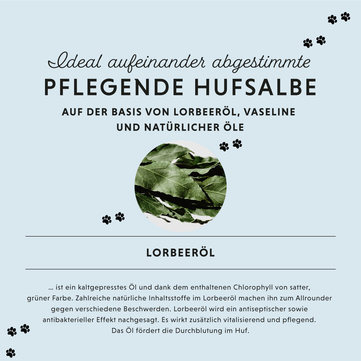 Hufsalbe Exklusiv für Pferde – natürliche Pflege mit Lorbeeröl für gesunde Hufe | Annimally