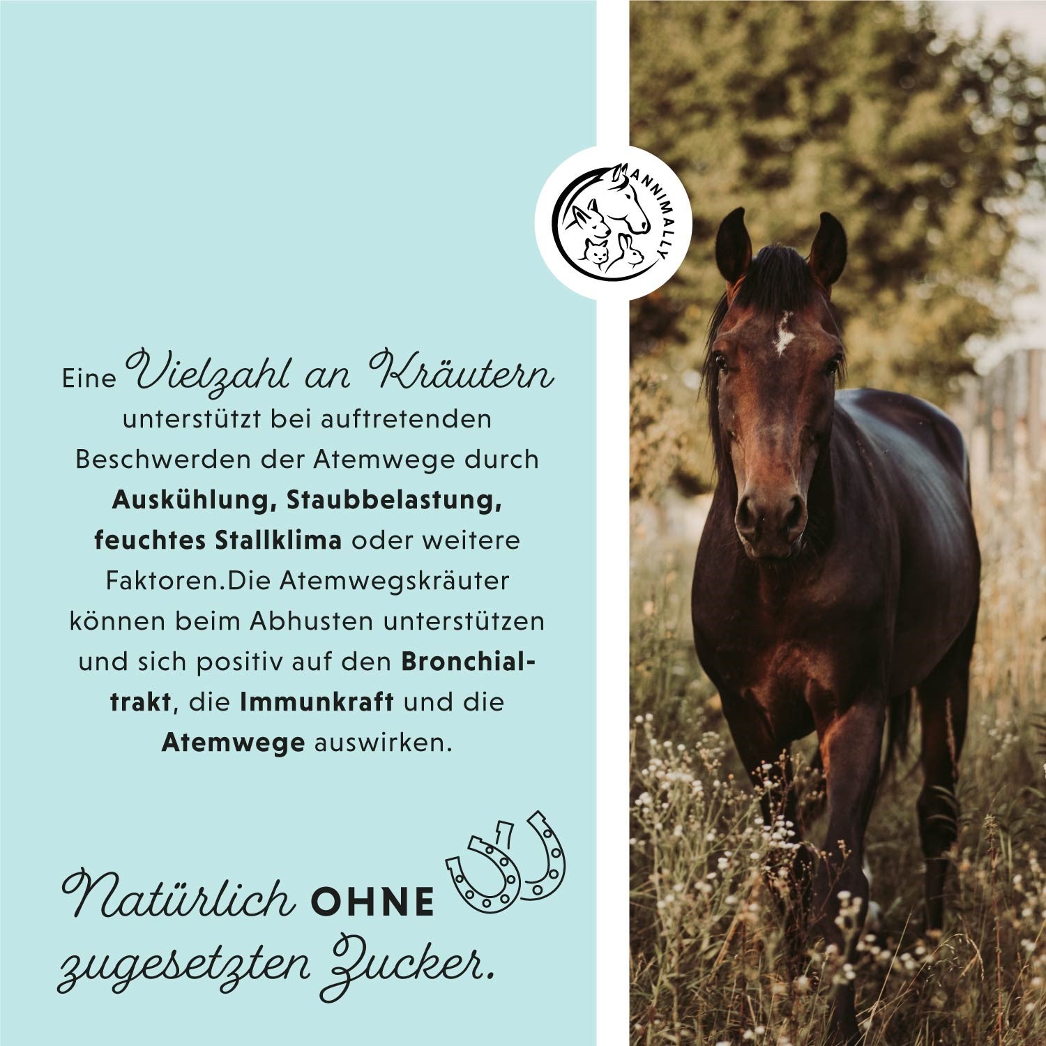 Bronchiale vloeistof