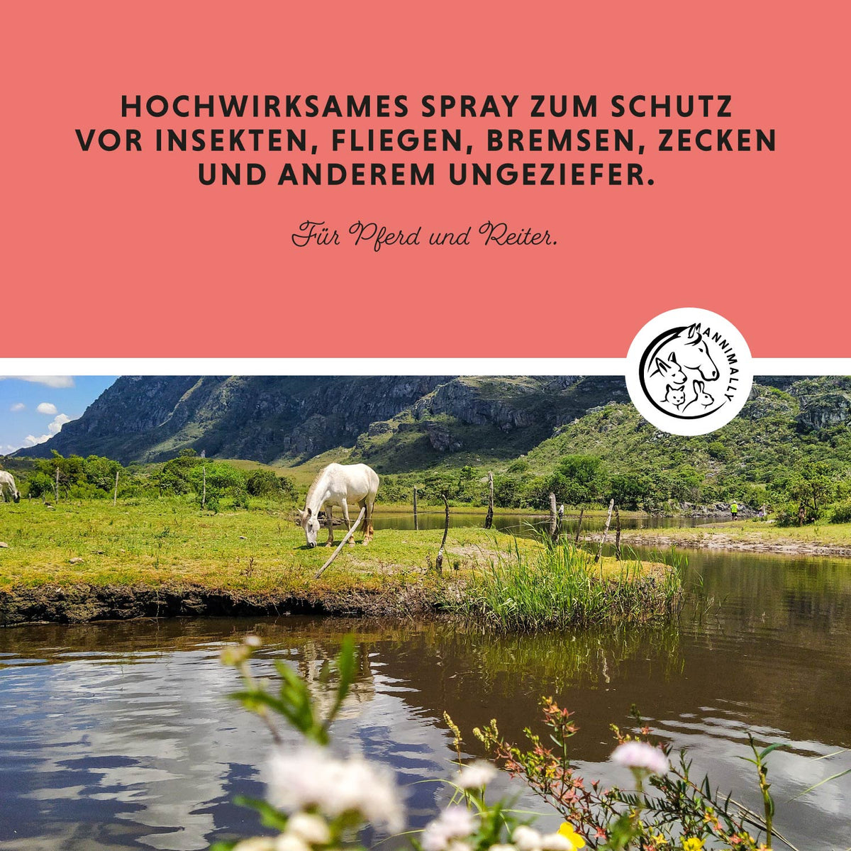 Insekten Stopp als Schutz vor Fliegen, Bremsen & Zecken – Tierpflege für Pferde