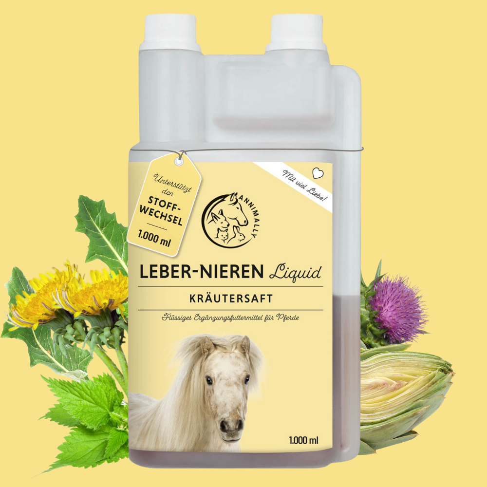 Leber-Nieren Liquid für Pferde – Nahrungsergänzungsmittel | Annimally