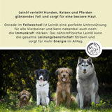 Natuur-Box