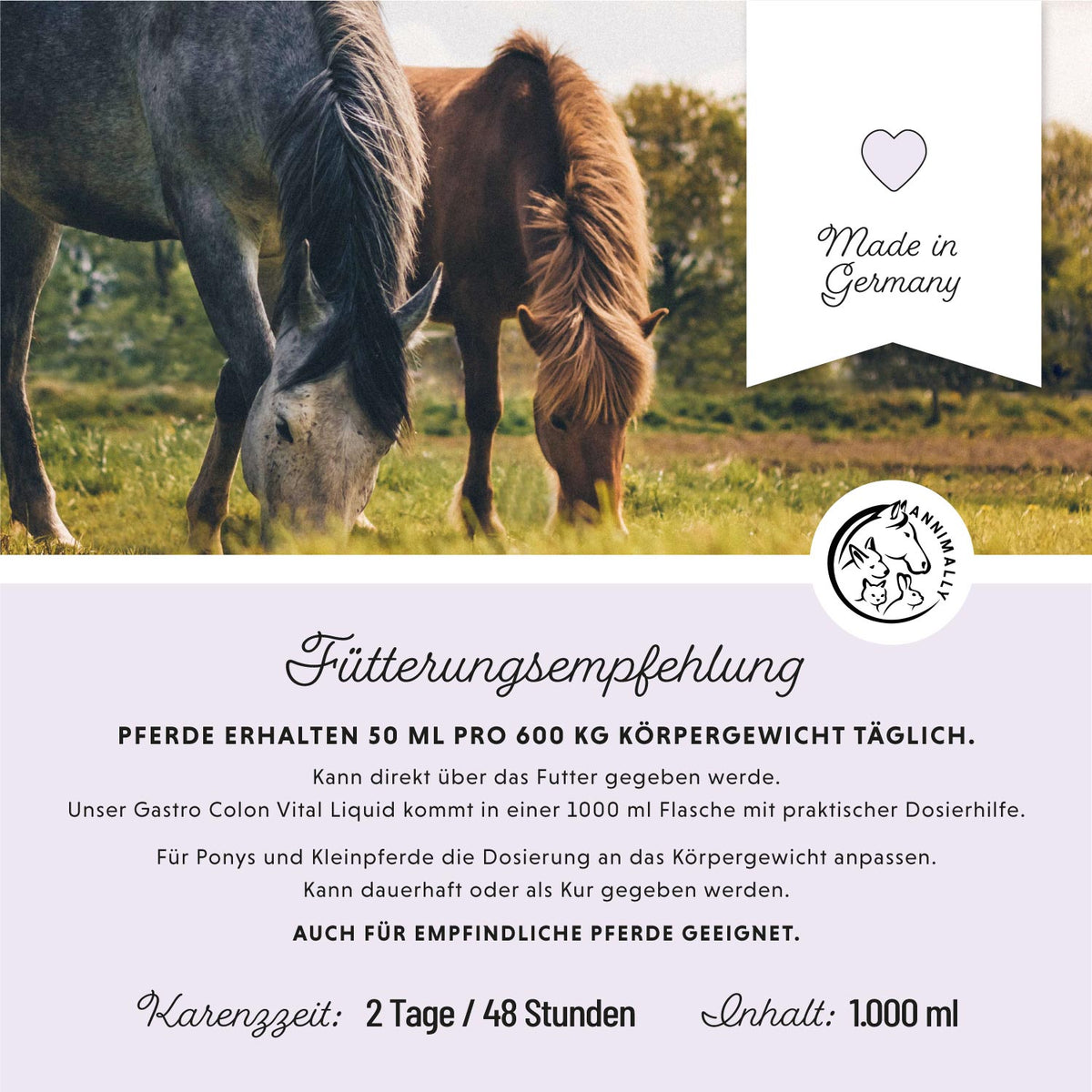 Magen-Darm Liquid von Annimally – Nahrungsergänzungsmittel für Pferde