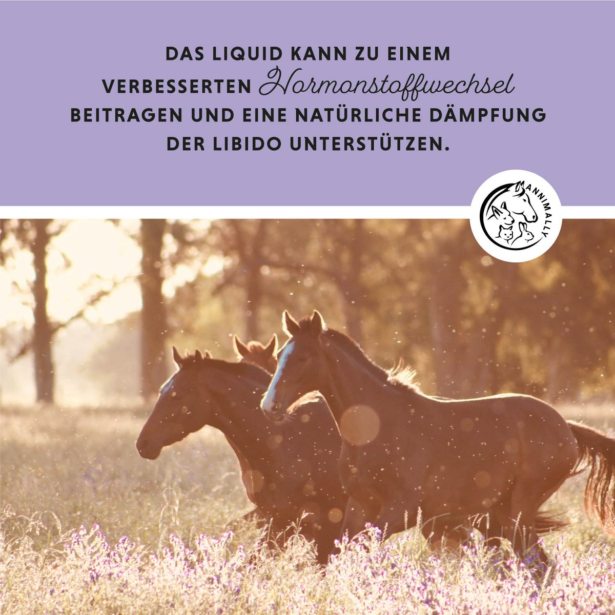 Mönchspfeffer Liquid für Pferde – Futterergänzung für das hormonelle Gleichgewicht | Annimally