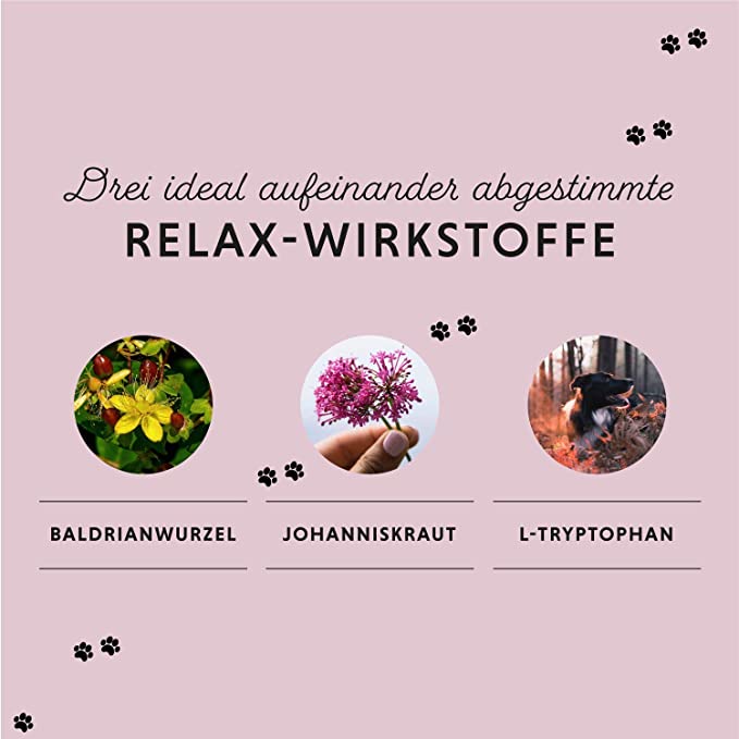 Nahrungsergänzungsmittel für Hunde: Relax Tabletten zur natürlichen Beruhigung