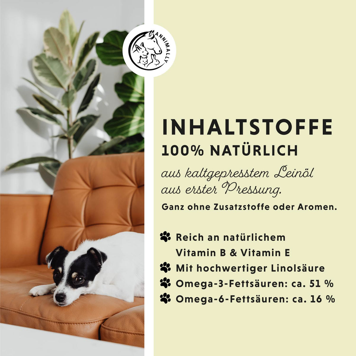 Natur-Box für Hunde mit natürlichen Wirkstoffen – Set mit Futterzusätzen von Annimally