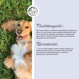 Kotsdoos