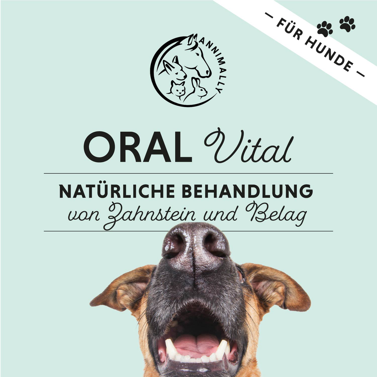 Oral Vital von Annimally für gesunde Zähne & frischen Atem – Futtertopping für Hunde